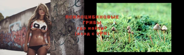 скорость Алзамай