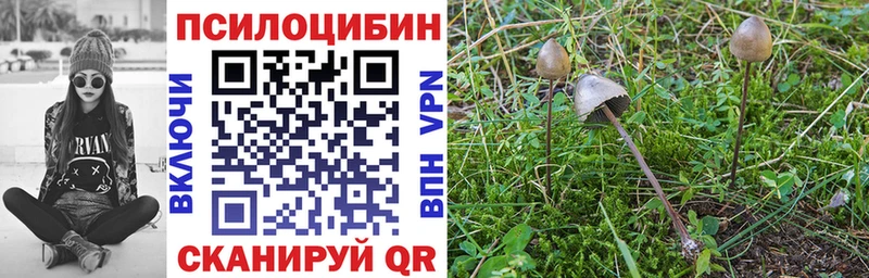 Псилоцибиновые грибы ЛСД  Задонск 